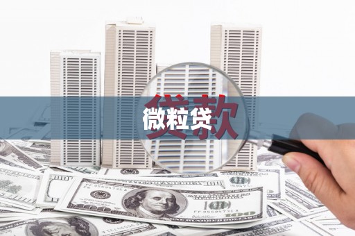 华县微粒贷