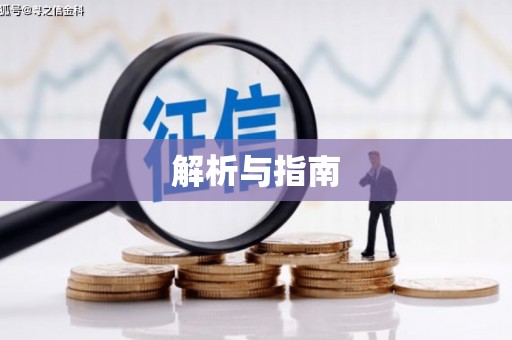 大厂解析与指南