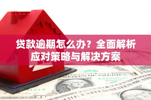彭阳贷款逾期怎么办？全面解析应对策略与解决方案