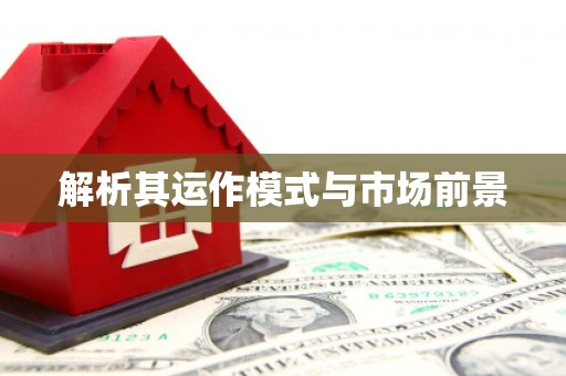 岱山解析其运作模式与市场前景