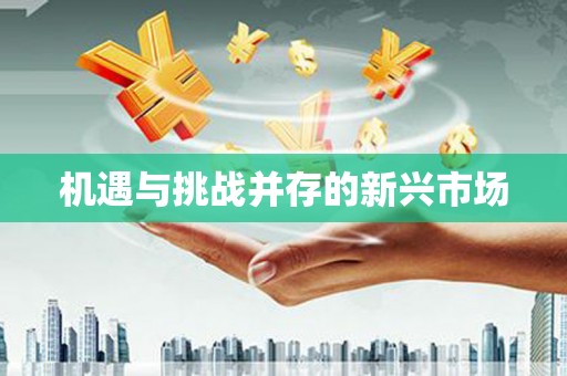 营口机遇与挑战并存的新兴市场