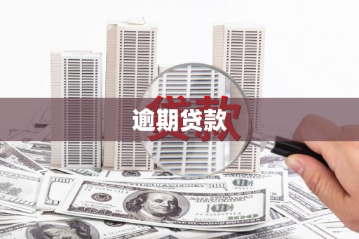 兰考逾期贷款