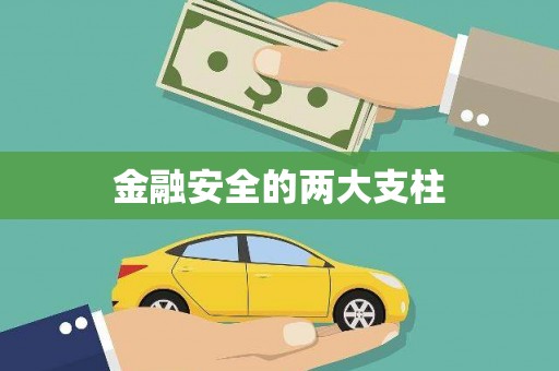 宕昌金融安全的两大支柱
