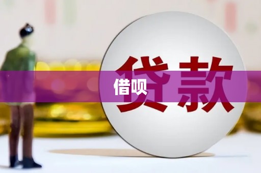 琼中借呗
